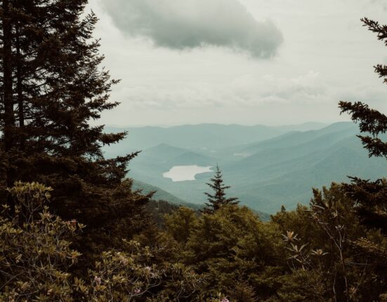 Photo by Michelle Andrews: https://www.pexels.com/photo/mountain-view-11877638/