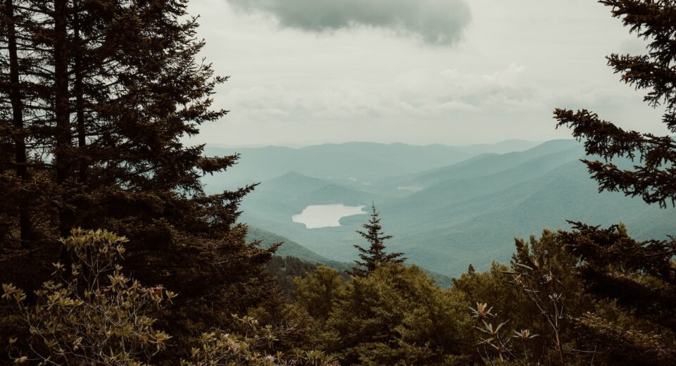 Photo by Michelle Andrews: https://www.pexels.com/photo/mountain-view-11877638/