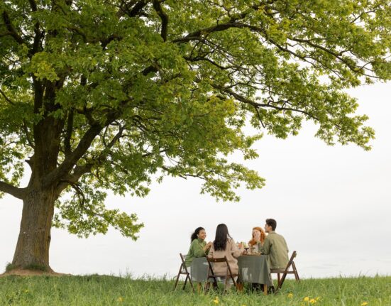 Photo by Ron Lach : https://www.pexels.com/photo/group-of-four-people-having-dinner-under-the-beautiful-tree-9578722/
