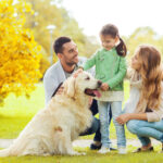 1cebb7658026451b6c398820564e2933