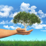 Image by kjpargeter on Freepik