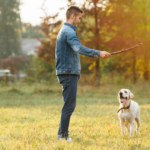 Image by freepic.diller on Freepik