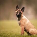 Image by wirestock on Freepik